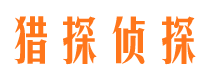 新密侦探公司